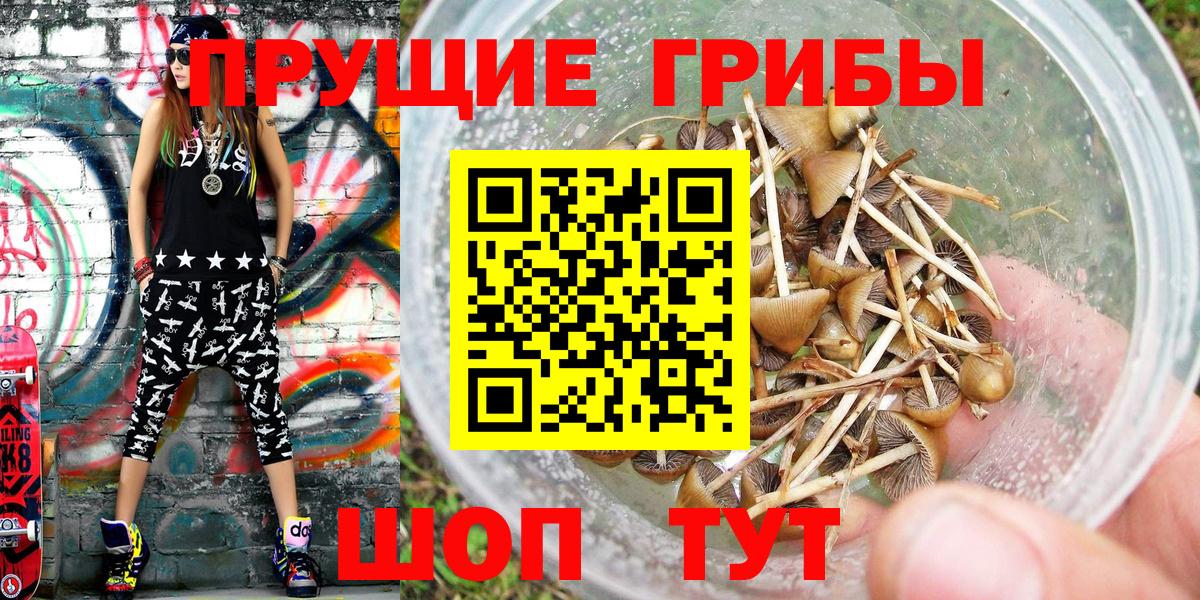 Псилоцибиновые грибы Magic Shrooms  где купить   Азов  Вход с VPN 