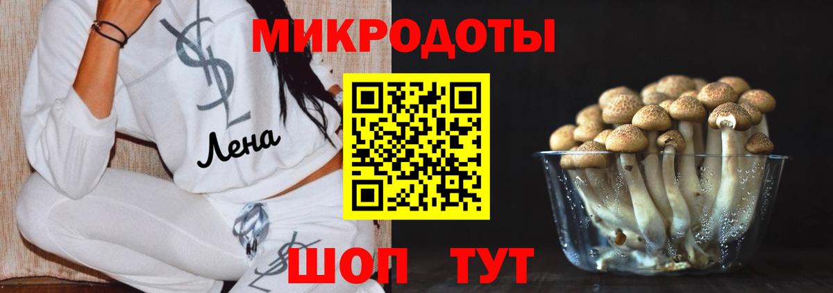 Псилоцибиновые грибы мухоморы Азов